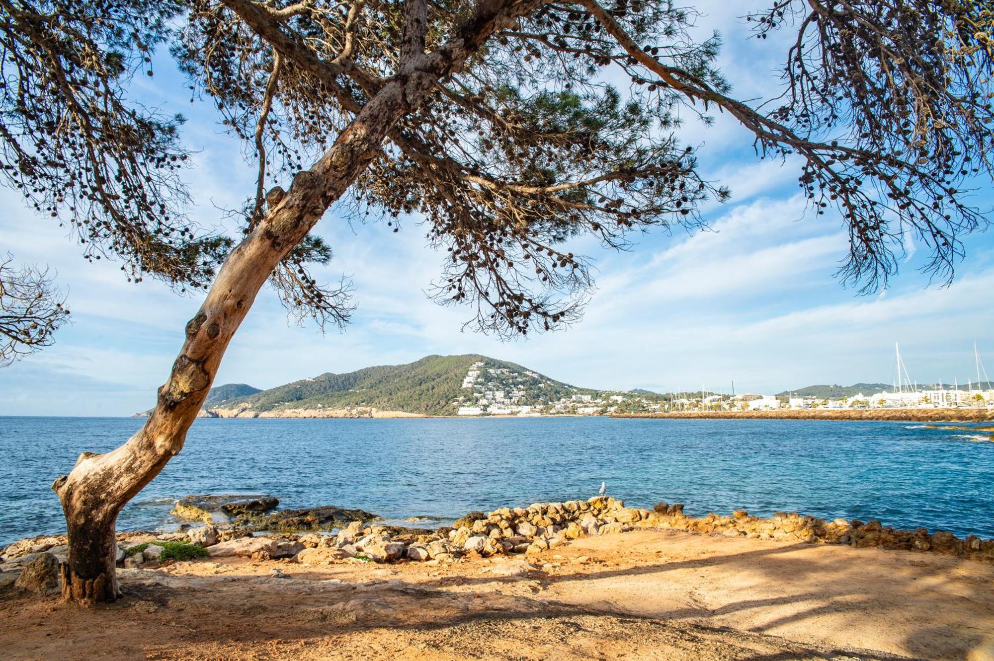 Pierre & Vacances Ros Ibiza Санта Еулалия дел Рио Екстериор снимка